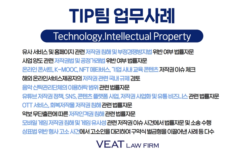 법무법인비트 TIP팀 업무사례